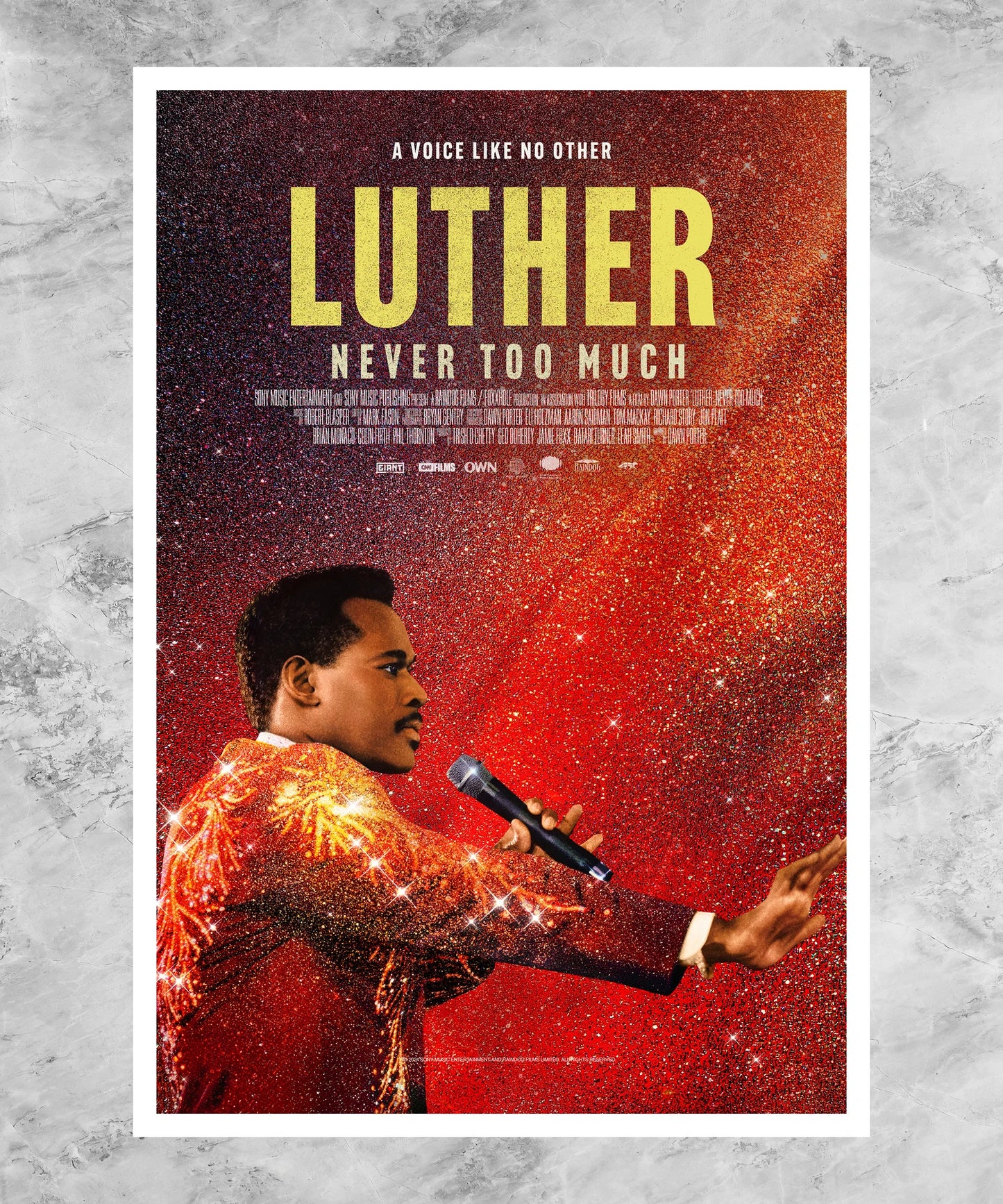 Luther: Never Too Much Poster