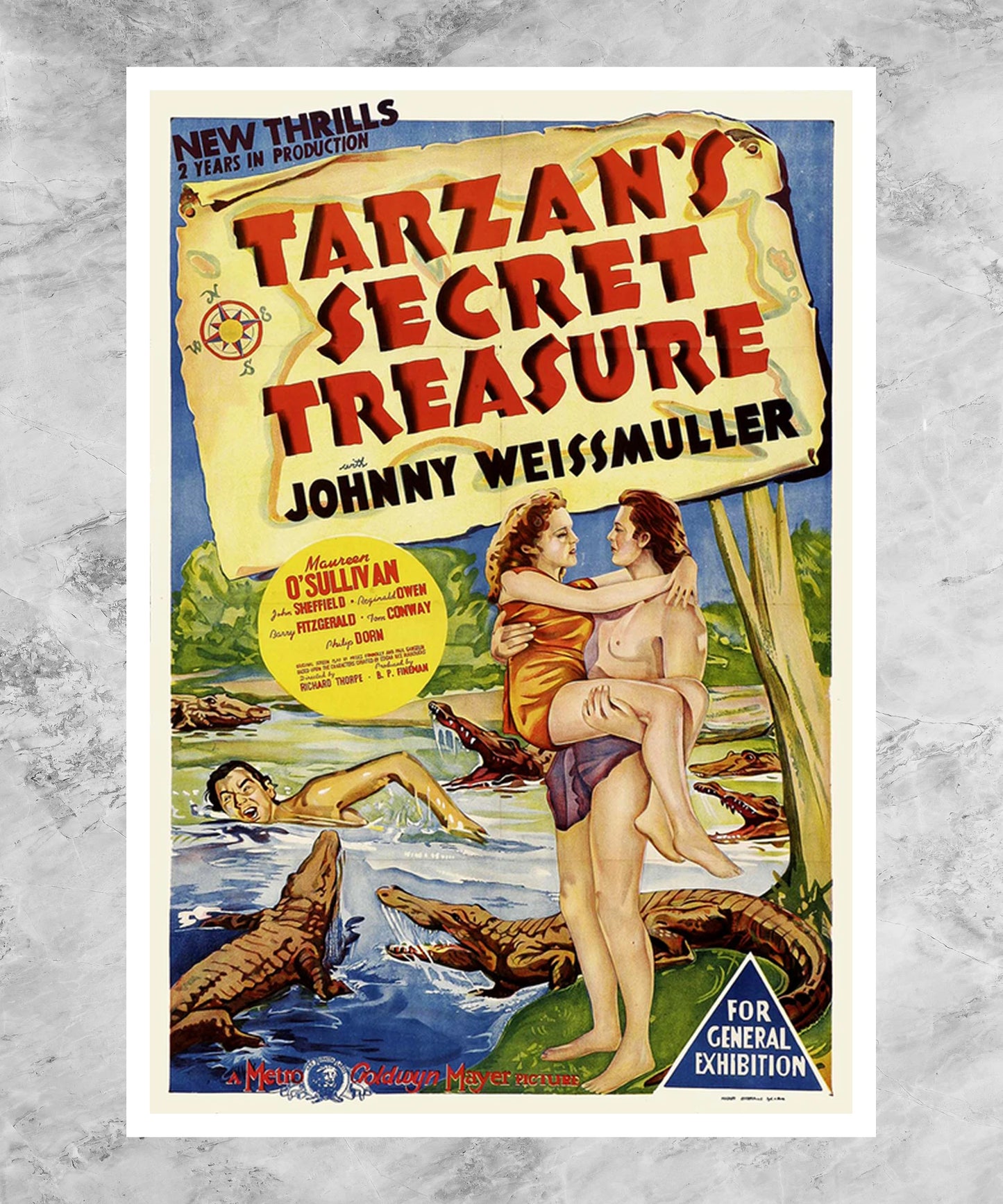 Tarzan's Secret Treasure Poster