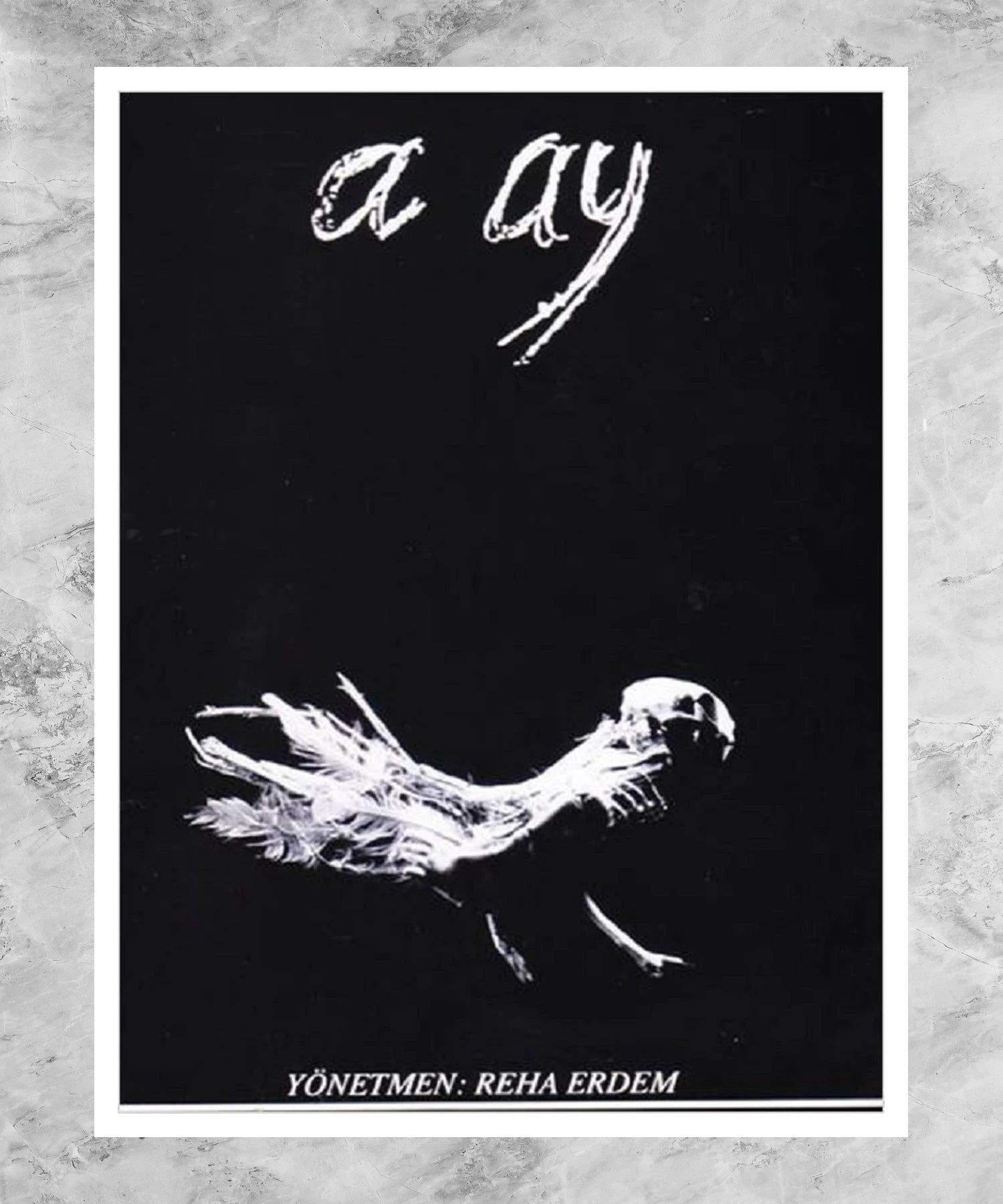 A Ay Poster