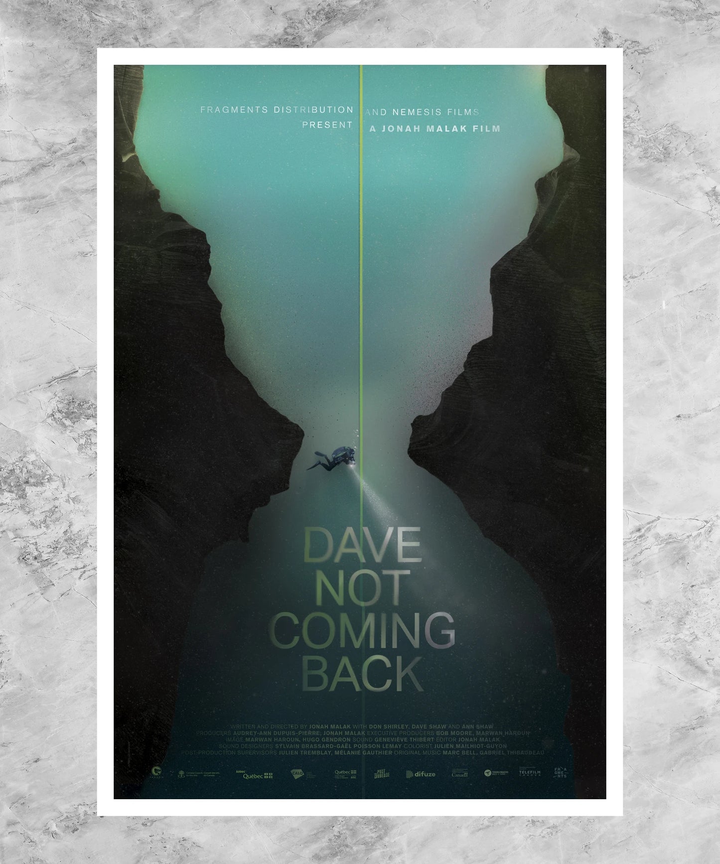 Dave Not Coming Back Poster