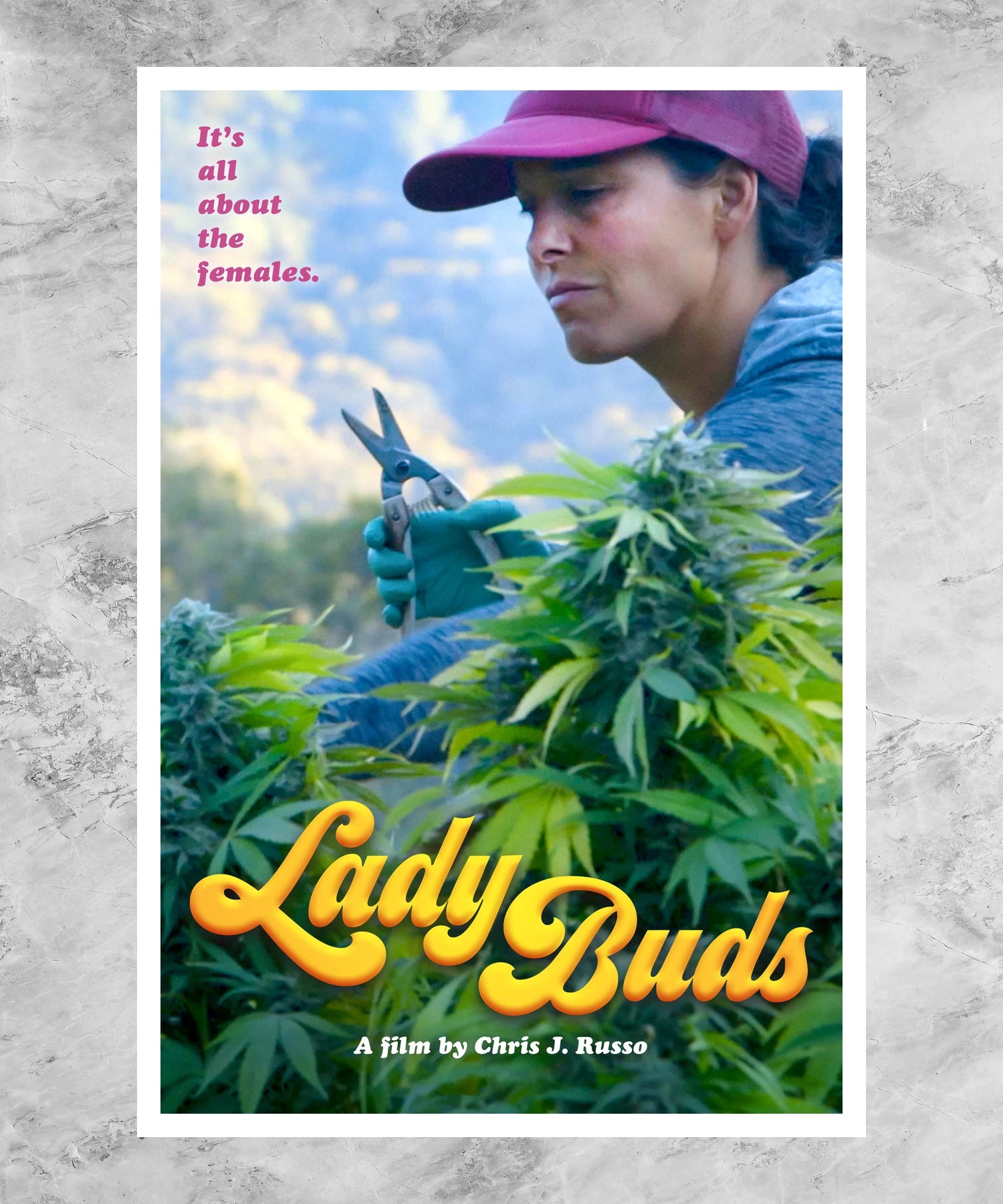 Lady Buds Poster