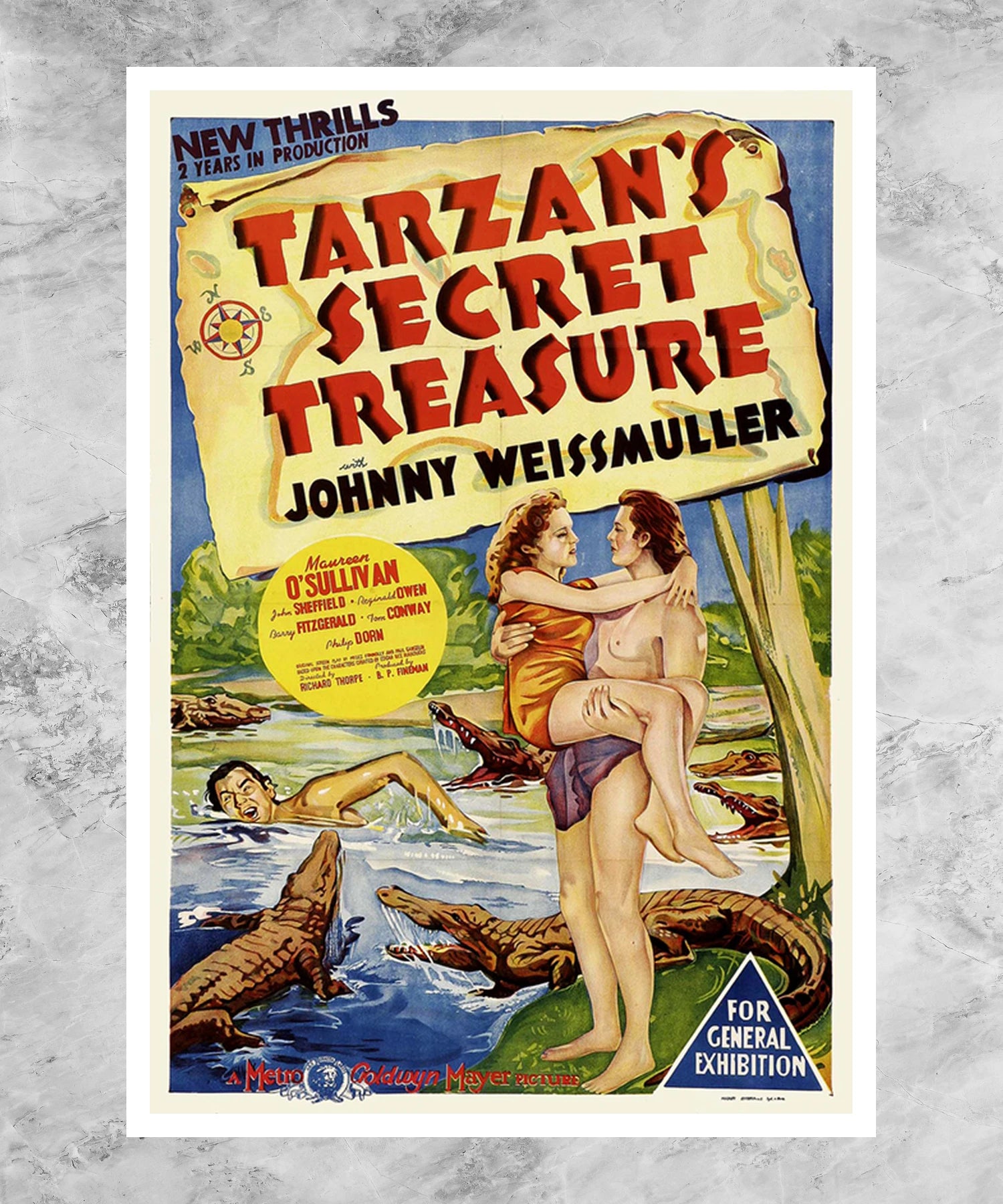 Tarzan's Secret Treasure Poster