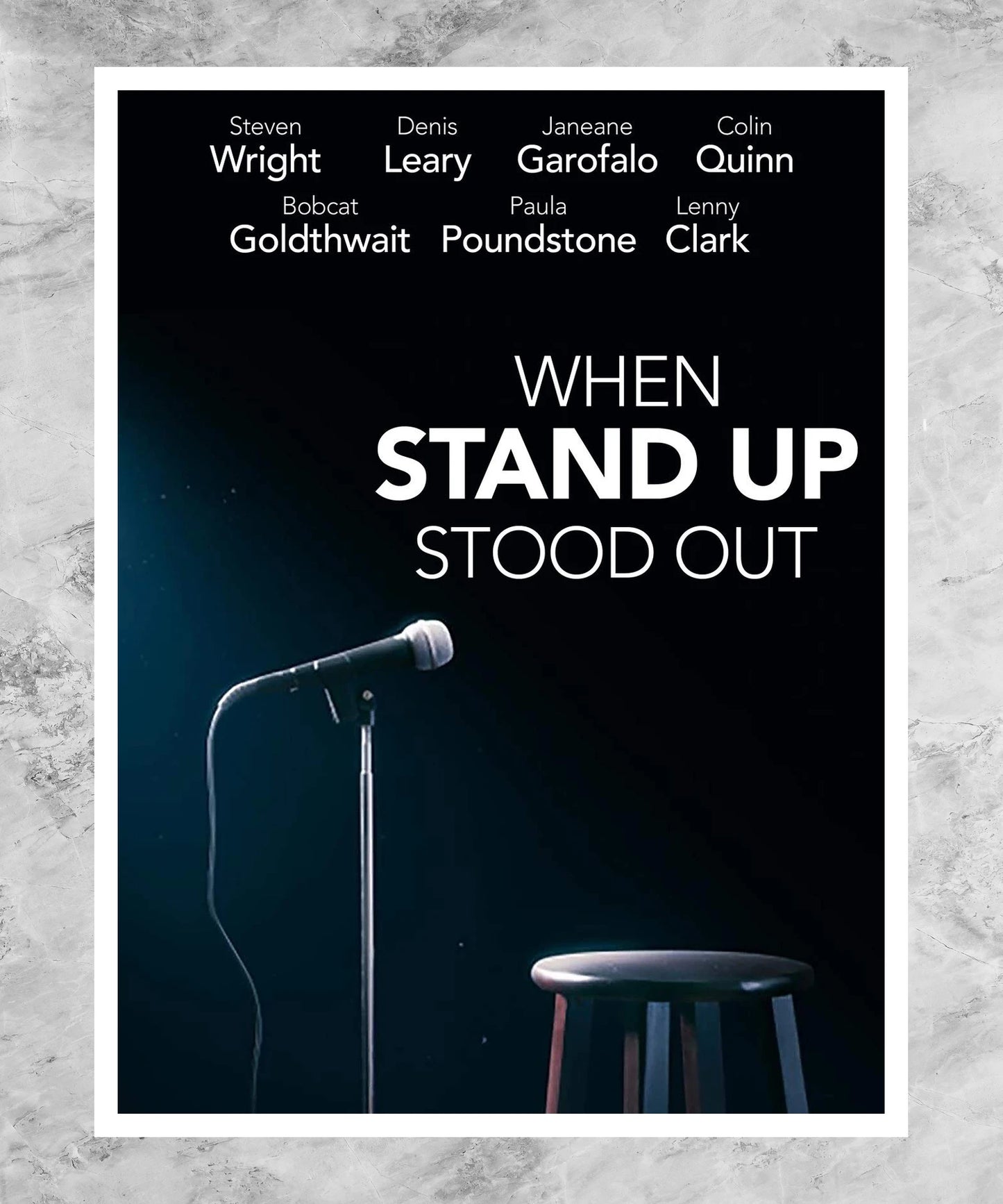 When Stand Up Stood Out Poster